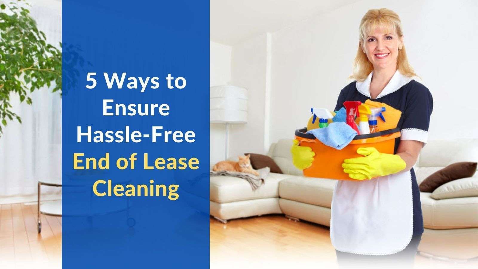 End Of Lease Cleaning Auckland